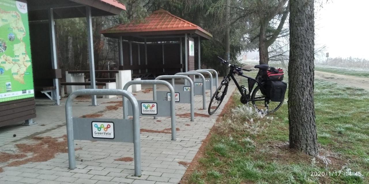Bialowieza Spanie Na Sianie Puszcza Bialowieska Dubicze Cerkiewne Buitenkant foto