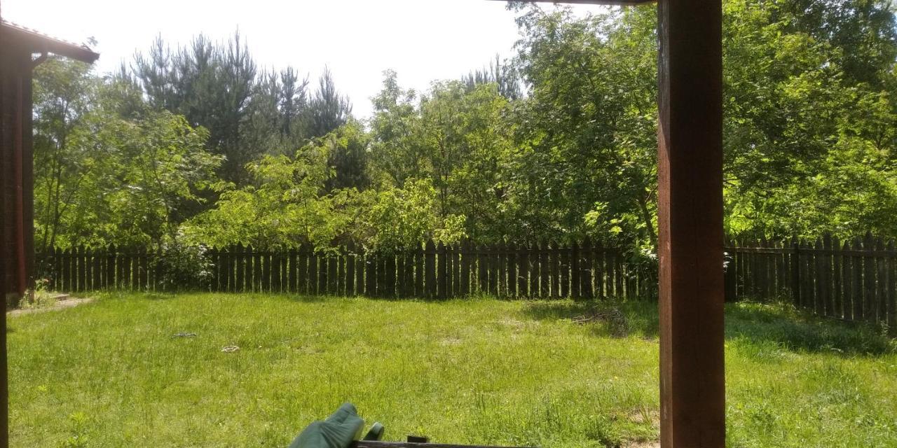 Bialowieza Spanie Na Sianie Puszcza Bialowieska Dubicze Cerkiewne Buitenkant foto
